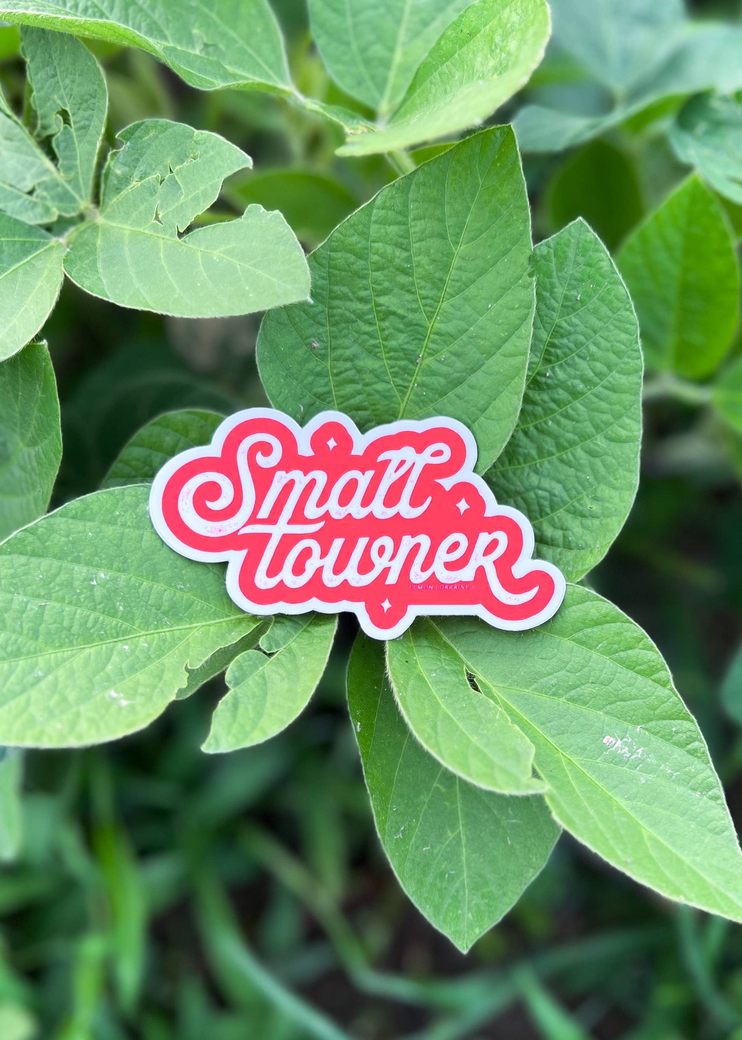 SMALL TOWNER - Sticker